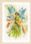 Fantasy Elf Fairy / PN175886