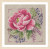 Blooming Rouge / PN199792