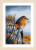 On the Lookout / PN200984
