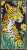 Spots Among The Petals / PN206221