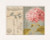 Hydrangea / PN8104