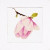 Magnolia Bud / PN8303