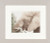 Grazing Elephant / PN8324