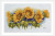 Bright Sunflowers / MK125