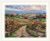 Vineyard Hill / MK164