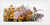 Black Eyed Susans and Phlox / MK208