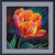Spring Awakening: Freshness / MK302