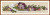 Pansy Waltz / MK41