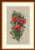 Vintage Poppies - B / MK81B