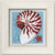Nautilus Shell (2010) / MH140105