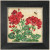 Geranium (2018) / MH141816