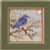 Snowy Bluebird (2025) / MH142534
