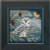 Snowy Owl (2014) / MH144304