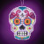 Morado (2016) / MH161621