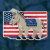 Patriotic Blue (2016) / MH181626