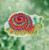 Snail (2017) / MH181714
