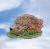 Hedgehog (2019) / MH181913