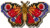 Peacock Butterfly (2025) / MH182512