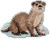 Otter (2025) / MH182521