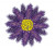 Purple Flower (2022) / MH212212