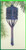 Wisteria Tassel / MHBT6