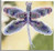 Sapphire Dragonfly (2000) / MHDF1