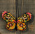 Green Pink Butterfly Ornament / 019406 WI