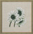 Sunflowers / 121159 WI