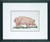Pig / 126427 WI