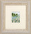 Daisy Field / 132351 WI