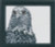 Eagle / 144134 WI
