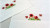 Poppies Towel (2-pcs) / 286532 WI