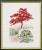 Japanese Maple / 703130 WI