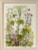 Flowers Wayside / 704153 WI