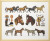 Horse Homage / 708490 WI