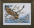 Eagle / 709319 WI