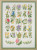 Flowers ABC / 709589 WI