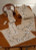 Magnolia Table Runner (top right) / 756863 WI