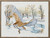 Barn Owl / 901304 WI