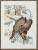 Eagle / 901305 WI