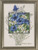 Blue Cornflowers / 905363 WI