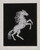 Horse / 922376 WI