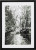 Forrest / 929727 WI