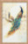 Persian Garden / RL100029