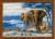Elephants in the Savannah / RL1144