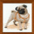 Pug Dog / RL1176