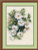 White Brier / RL1351