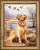 Labrador / RL1399