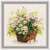 Daisies / RL1478