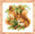 Squirrels / RL1491